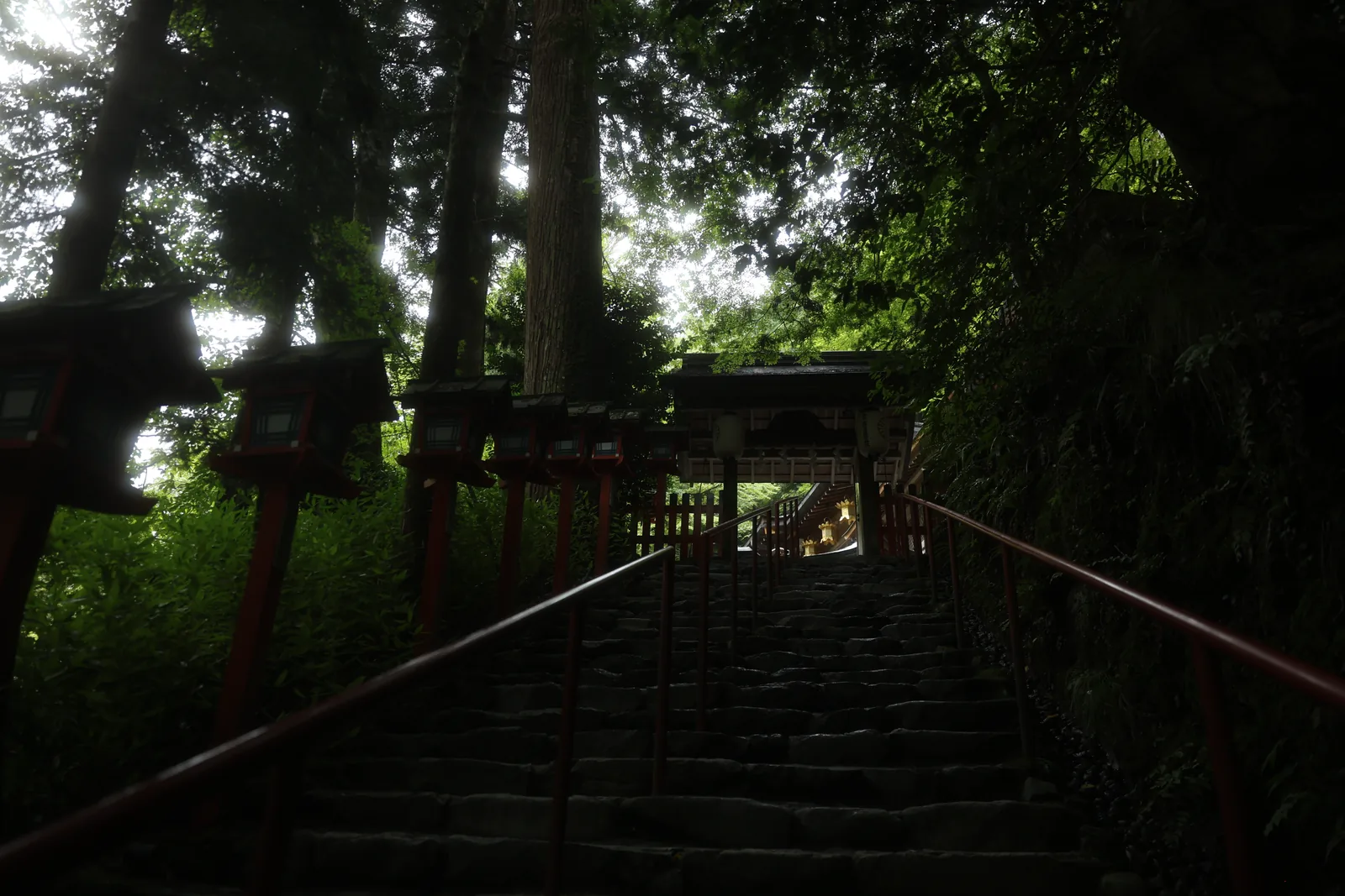 Stone steps climbing through tall trees, red lanterns on either side.